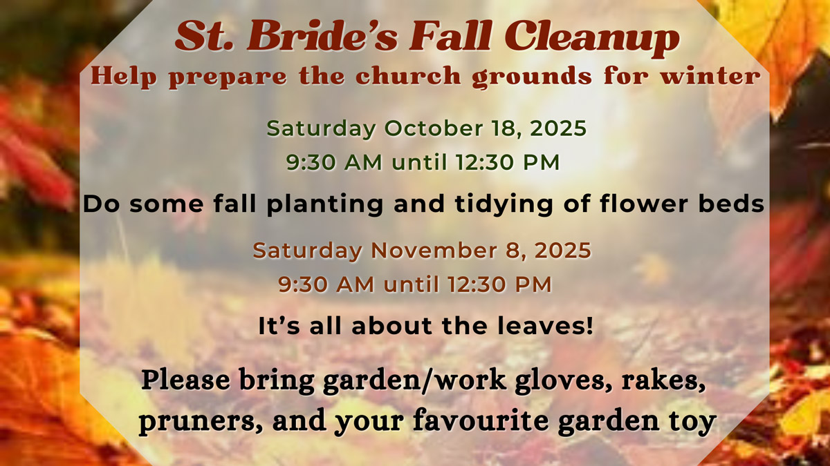 fall-cleanup