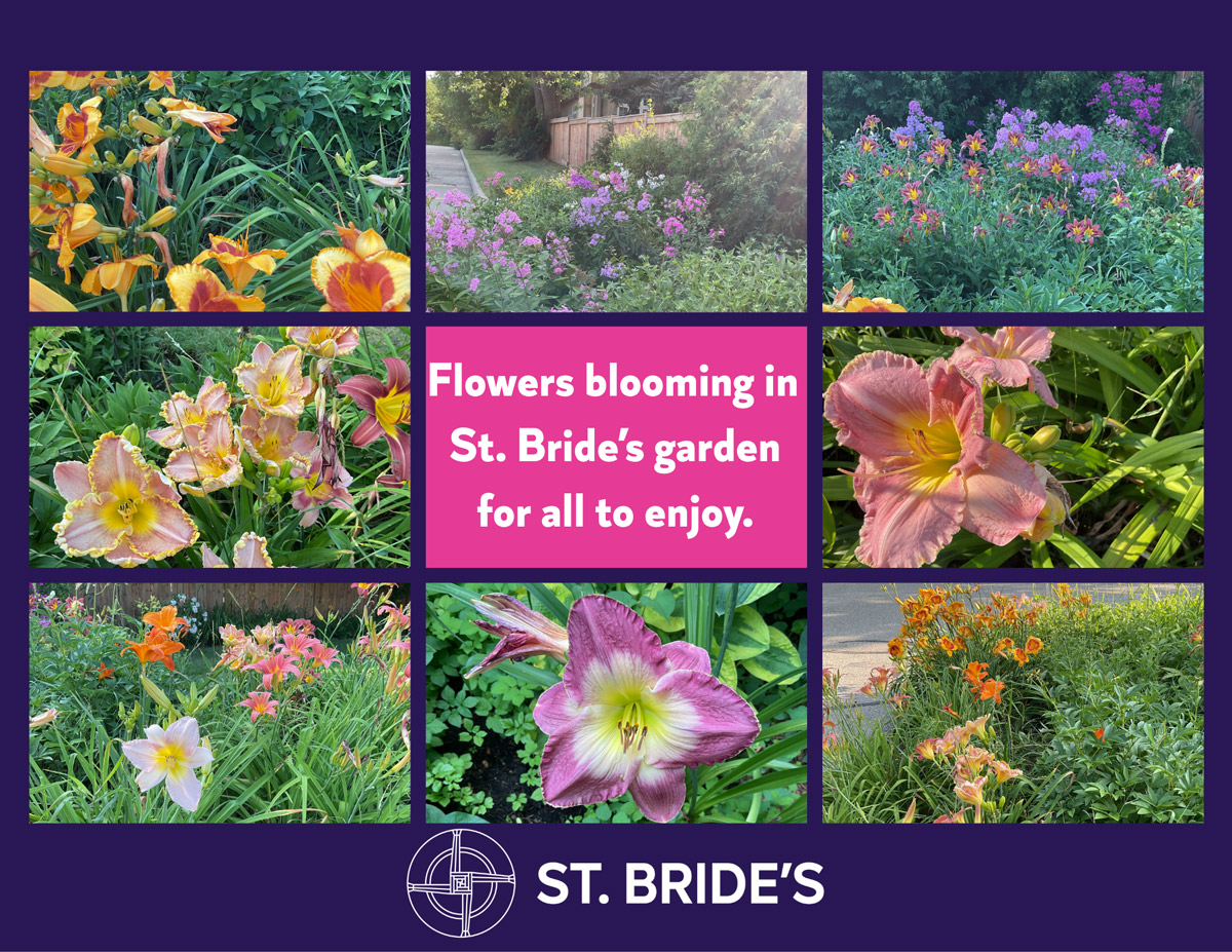 garden-flowers